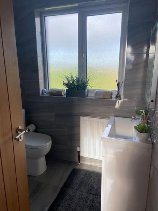 Ferienwohnung 'Little Acre' Perfect For Business Or Pleasure Portadown Exterior foto